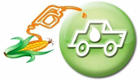 点击这里看大图