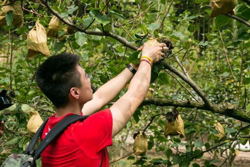 哈弗M6带你玩转网红涂鸦村金满坑