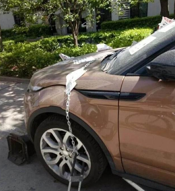 路虎车占用“私人车位”业主哈士奇表情回应！