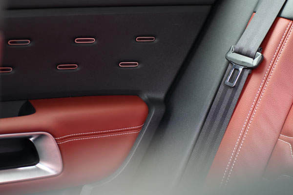 后排乘客车门的装饰水准，相比前排乘客的并无半点缩水