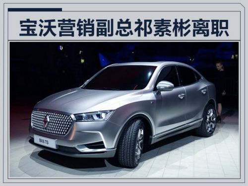 宝沃第三位高管离职 副总经理祁素彬辞职-图1