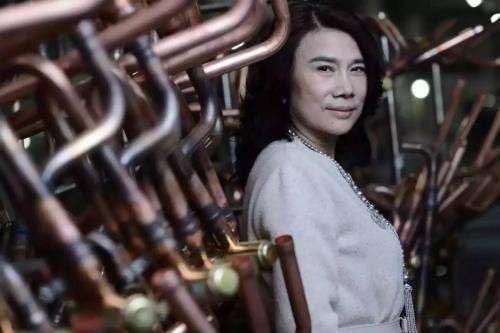 左手电池右手壳 董明珠“乐高式”造车能否如愿？