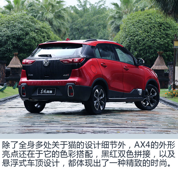 当“喵将”遇到真爱粉 记90后涂鸦大神的一天-图22