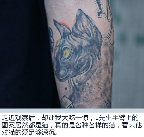 当“喵将”遇到真爱粉 记90后涂鸦大神的一天-图12