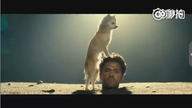 高分喜剧《追踪长尾豹马修》中最爆笑的片段,一起来感受下什么才叫真正的“耳