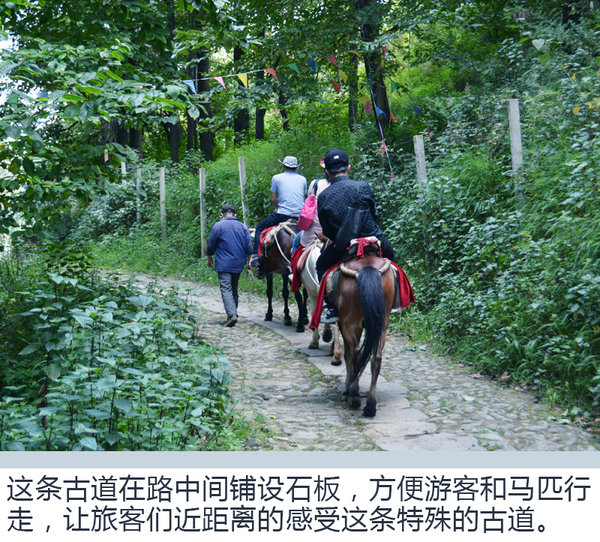 勇闯滇藏线 东风风行景逸X5/X6重走茶马古道-图7