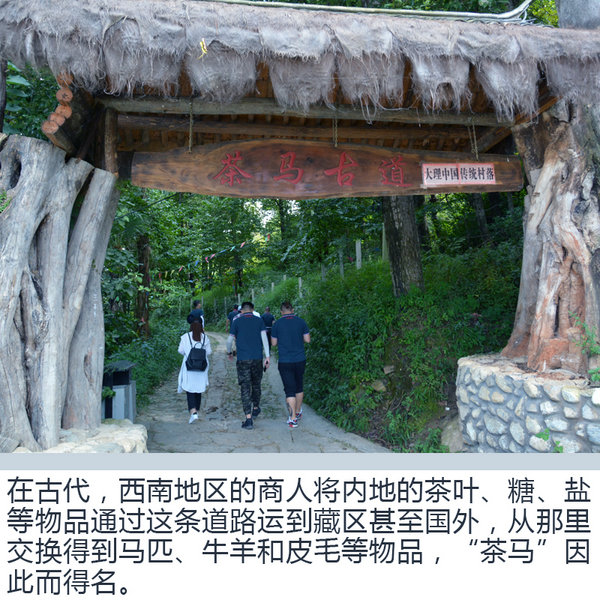 勇闯滇藏线 东风风行景逸X5/X6重走茶马古道-图8