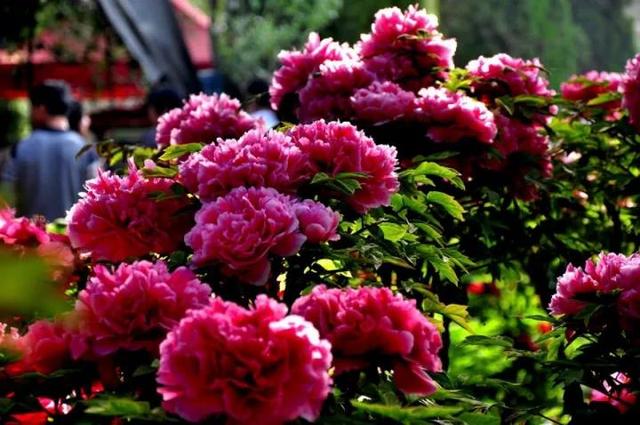 3c760002191df1d7191f