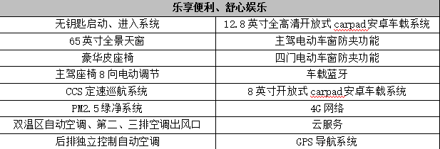 为全家人量身定制 宋MAX参数配置曝光