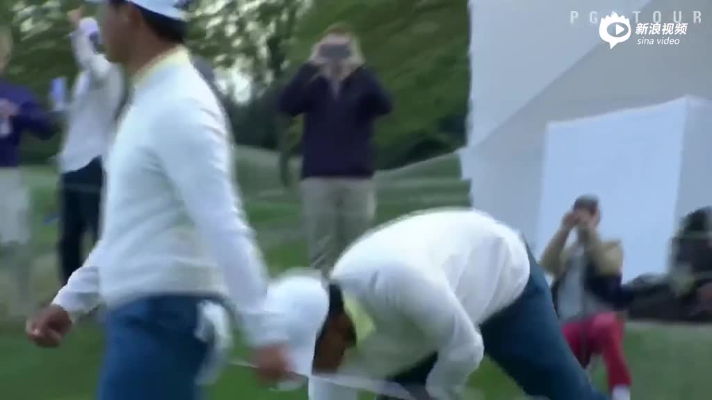 拉西里救命小鸟球