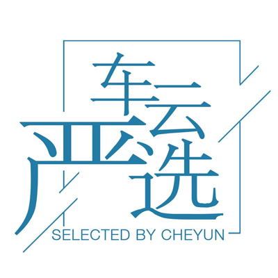 点击进入「车云严选」页面