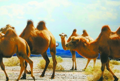 G7京新路 第二条进出新疆的交通大动脉