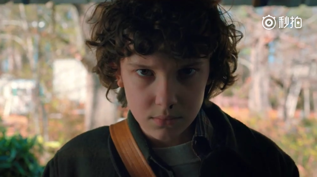 小11顶着一头卷毛回来了 威尔又看到.