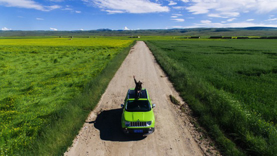 国民CP也爱的超酷全新自由侠首付一成1.3万起
