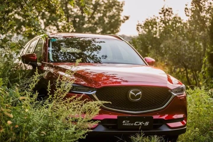 金秋十月·宜出行