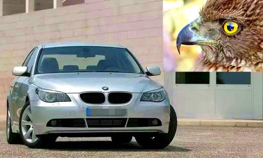 点击这里看大图