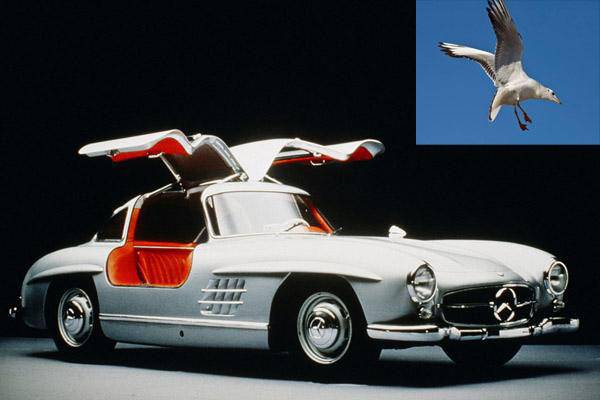 点击这里看大图