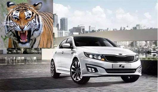 点击这里看大图