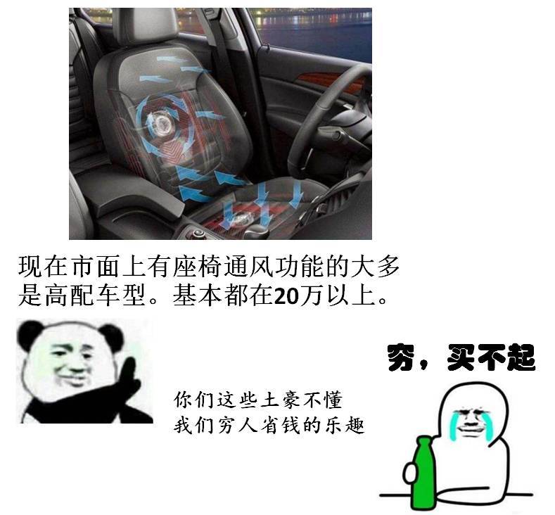 车上放什么东西会增加幸福感？