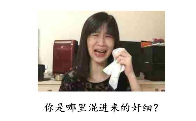 车上放什么东西会增加幸福感？