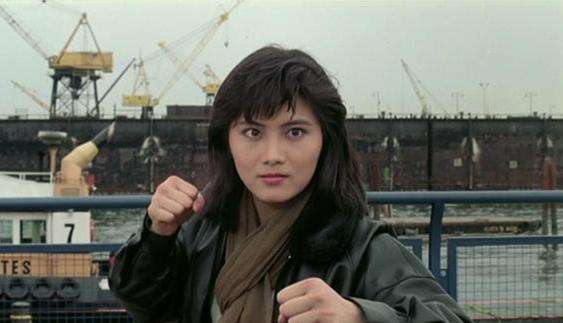 杨丽菁出演过的动作电影太多了,《皇家师姐》《超级女警察》《霸王花