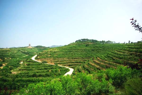 黄河明珠特色山村,新安县石井镇以山水闻名洛阳