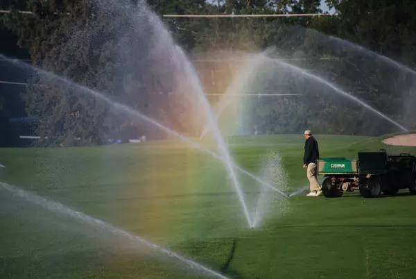 武汉卓尔主场用绿油漆给草皮染色?别让别有用