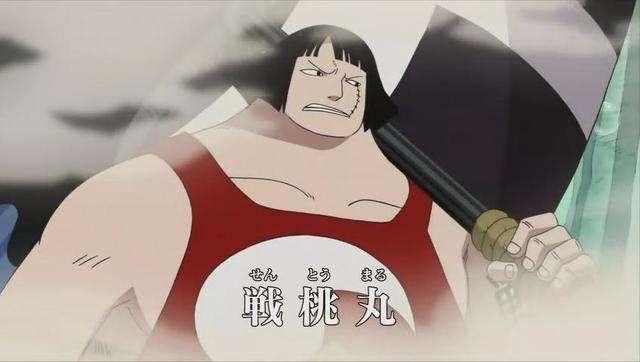 海贼王:人称小卡普的战桃丸,拒绝吃恶魔果实,同时拥有三大身份