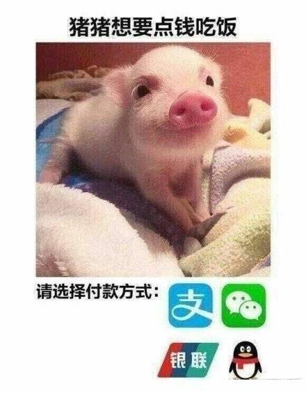 搞笑图片笑话段子跟爸妈要生活费的可爱表情包