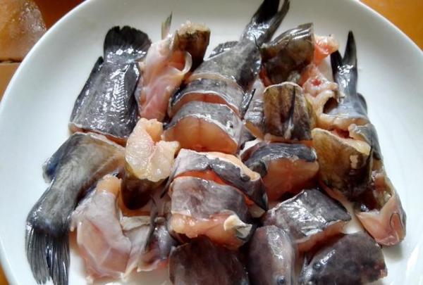 野生搪塞鱼粥,美味!清甜!嫩滑!滋补!野生美食你们有吃过吗?