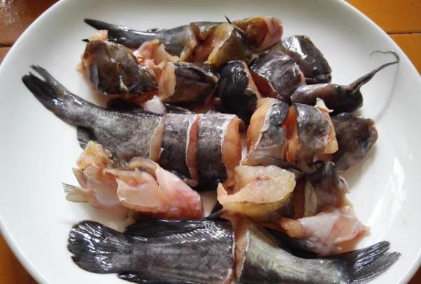 野生搪塞鱼粥,美味!清甜!嫩滑!滋补!野生美食你们有吃过吗?