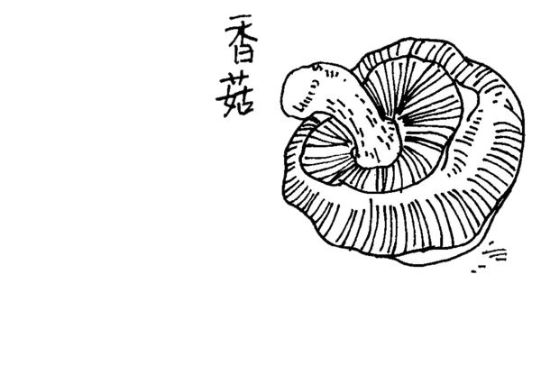 秋冬可别错过了|香菇|蘑菇|皇后_新浪新闻