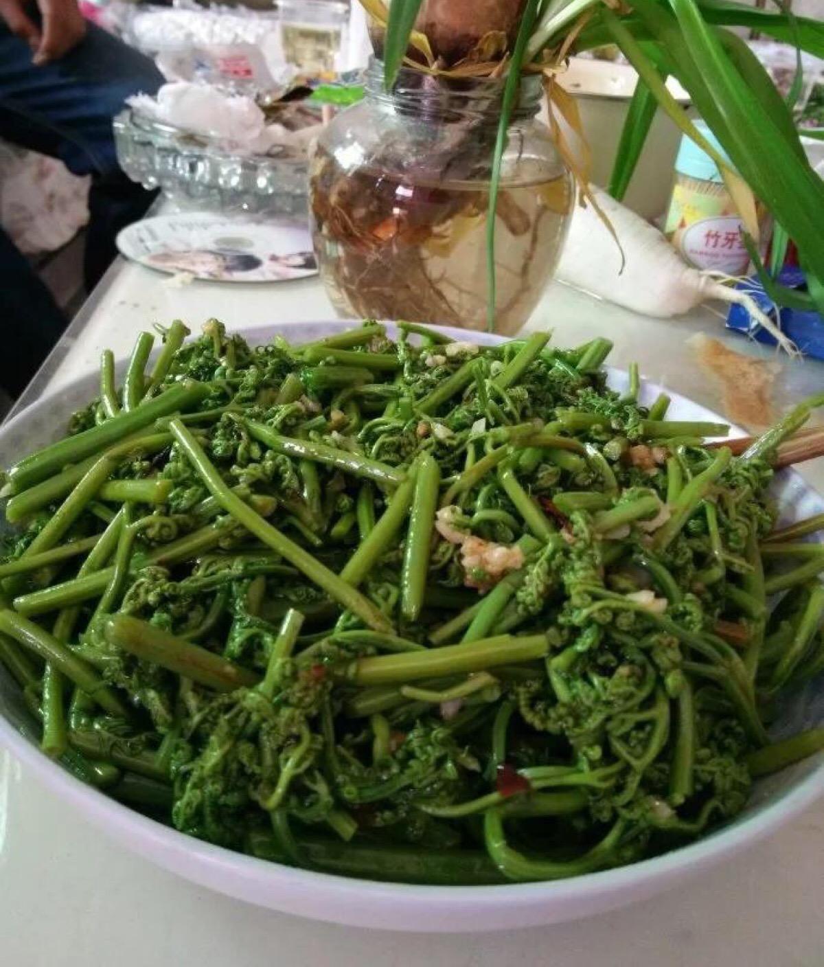 农村这种野菜形似"猫爪",不仅味道鲜美,而且还具有药用价值