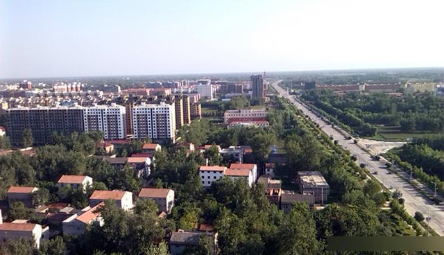 郸城网站seo优化公司