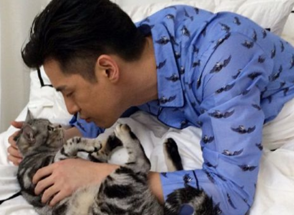 娱乐圈三大铲屎官,胡歌是个铁猫奴,刘亦菲和他