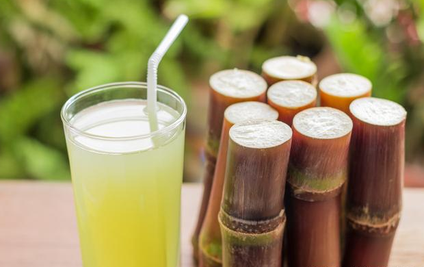 种植甘蔗的公司