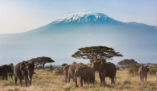 地球的美之安波塞利国家公园,非洲度假胜地之一!