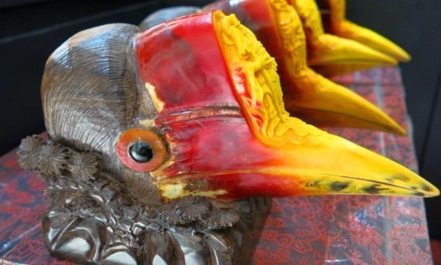 后来专家来一了现场,揭开了真相这是盔犀鸟的头骨,盔犀鸟因其头骨因其