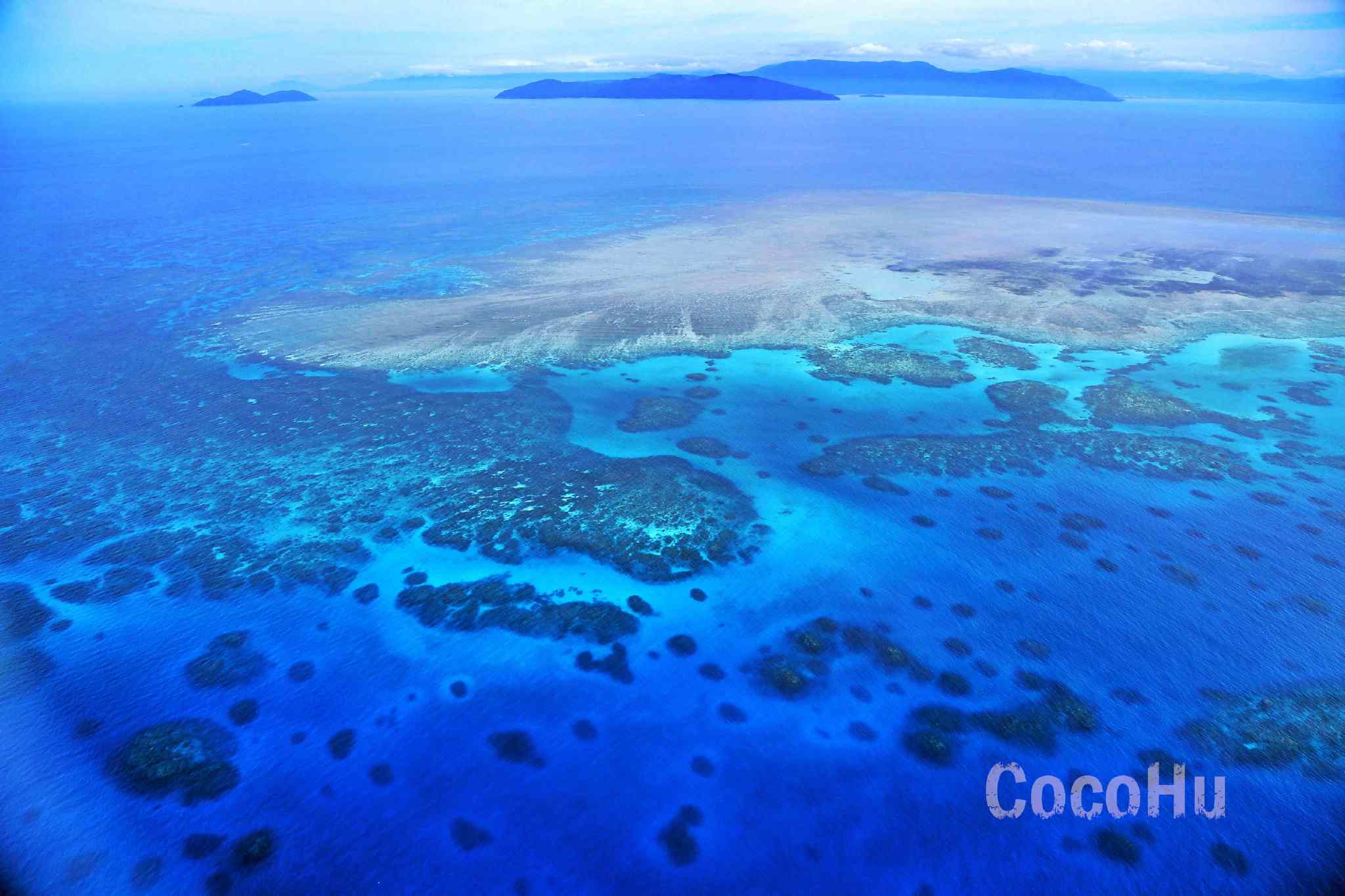 每年7-9月,濒临灭绝的座头鲸便会在珊瑚岛南部出现.