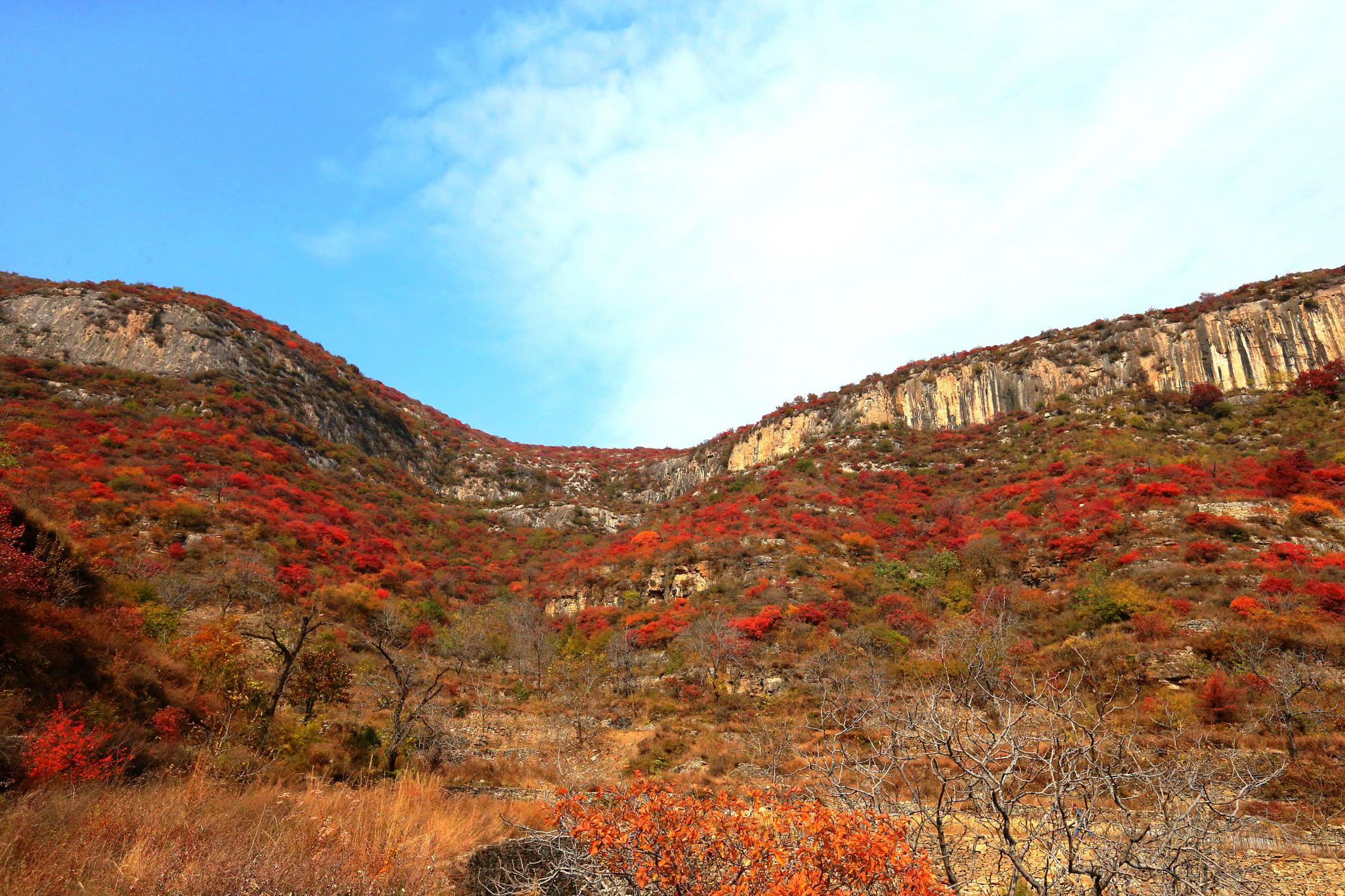 河北最美的秋季山村,被群山锁住鲜少人知,是一座被遗忘的烈士村