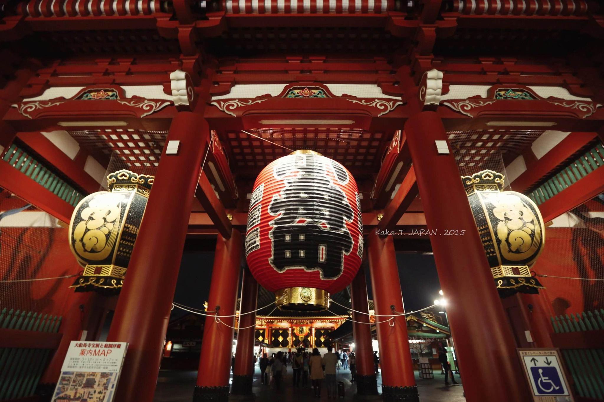 世界最任性国家:基本无限制免费送房子,装修还送钱却很少有人要