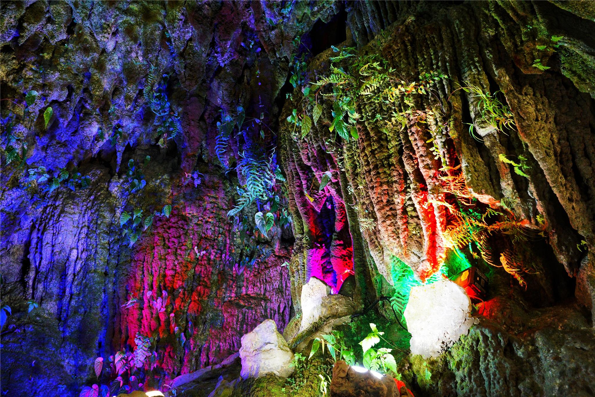 广西一个神秘的天坑内,有溶洞原始森林还有大瀑布宛若人间仙境