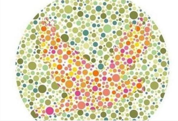 考驾照色盲测试这几张图片看不清楚的时候说明自己不适合开车