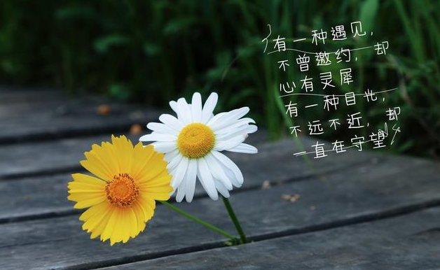 再不好好珍惜,我们就真的老啦!