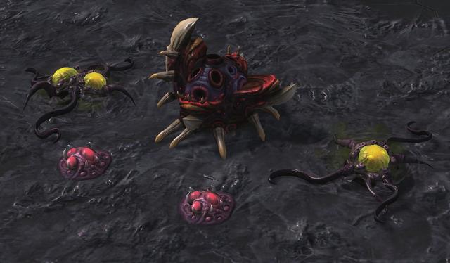 由于虫族的出兵是通过虫卵来进行孵化,所以虫后的注卵技能是一个虫族