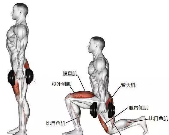 箭步蹲,一个让你不得不爱上的健身动作,越练越酸爽!