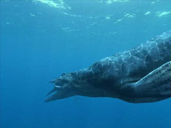 血缘关系的史前生物,它和现代蜥蜴的亲缘关系要高于和恐龙的亲缘关系