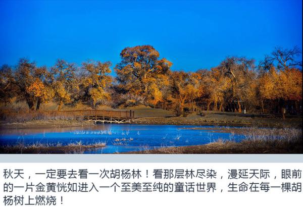 胡杨林逐星之旅 开皮卡房车 享受另一番生活方式-图9