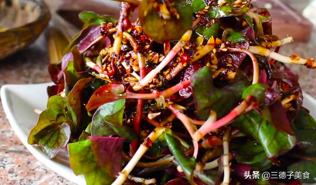 简单美味的凉拌鱼腥草,直接拌还是浇汁中间有讲究,让大厨告诉你