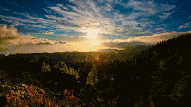 650_366gif 动态图 动图